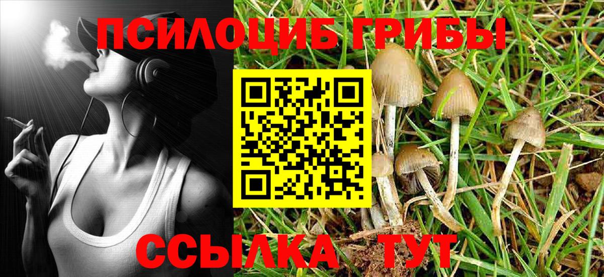 Махачкала  Галлюциногенные грибы Magic Shrooms  Вход с VPN 