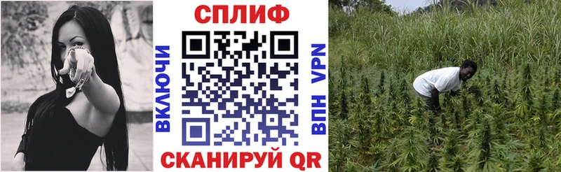 blacksprut ссылки  дарк нет формула  Бошки Шишки тримм  Махачкала 